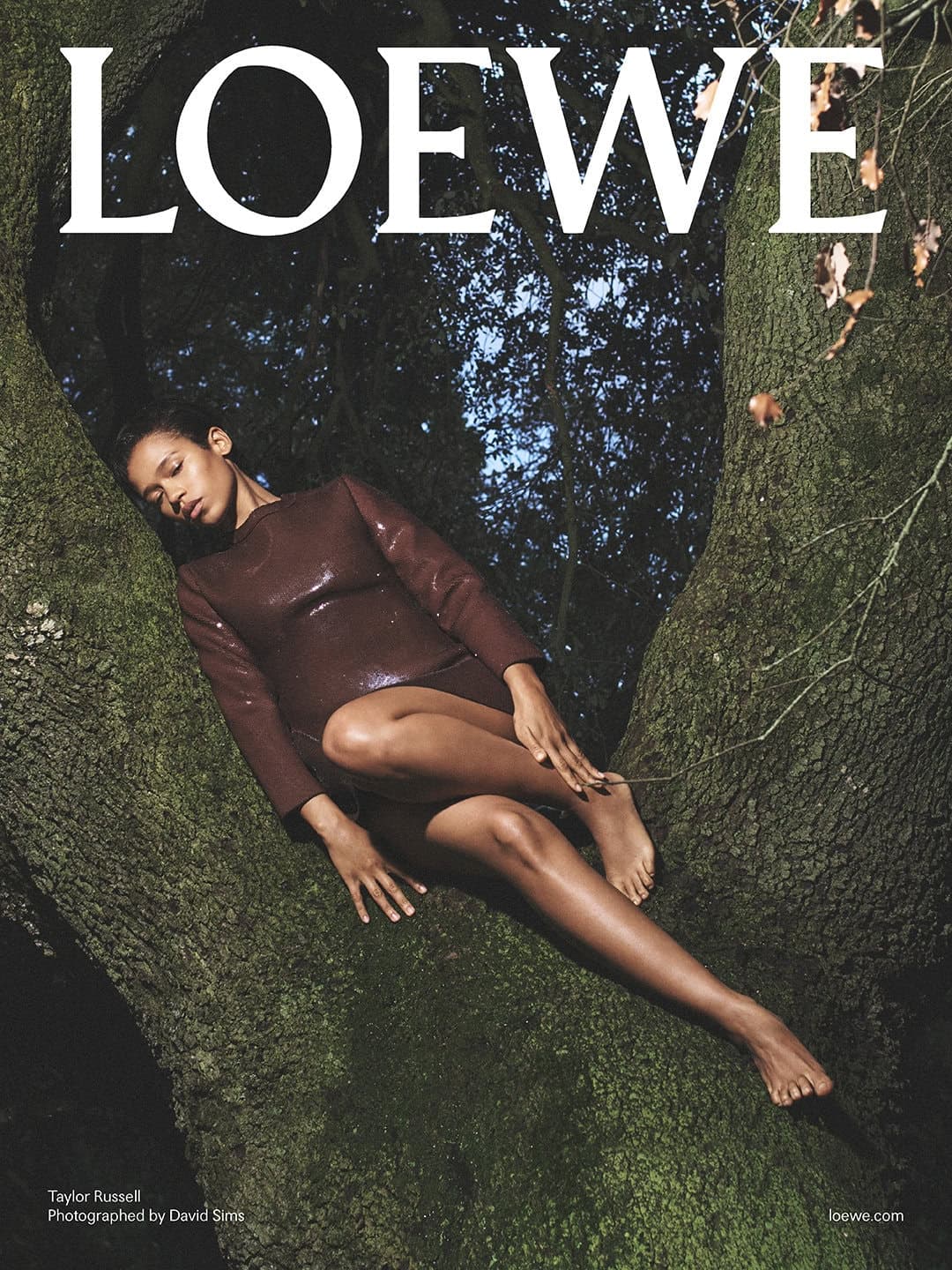 Loewe
